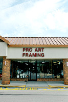 ProArt Gallery